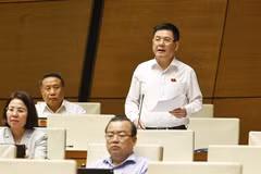 Le ministre de l’Industrie et du Commerce, Nguyen Hong Dien. Photo : VNA