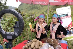 Des agriculteurs de Lai Chau diffusent en direct sur TikTok pour vendre leurs produits agricoles. Photo : VietnamPlus