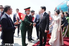 Le président Luong Cuong et son épouse arrivent au Caire pour une visite en Égypte. Photo : VNA