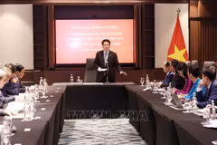 Le président vietnamien Luong Cuong a rencontré, dans la soirée du 3 août au Caire, les ambassadeurs du Vietnam accrédités dans divers pays africains. Photo : VNA