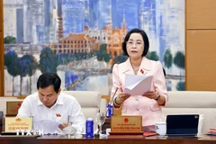 La vice-présidente de l'AN Nguyen Thi Thanh prend la parole lors la séance examinant le projet de Rapport de synthèse des opinions et recommandations des électeurs. Photo : VNA