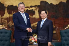 Le vice-Premier ministre Bui Thanh Son (droite) et Maros Sefcovic, commissaire européen au Commerce et à la Sécurité économique de l’Union européenne. Photo : VNA