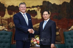 Le vice-Premier ministre Bui Thanh Son (droite) et Maros Sefcovic, commissaire européen au Commerce et à la Sécurité économique de l’Union européenne. Photo : VNA