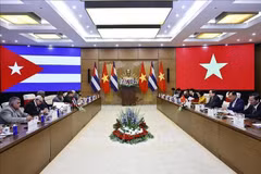 L'entretien à Hanoï entre le président de l’Assemblée nationale du Vietnam, Tran Thanh Man et le président de l’Assemblée nationale du Pouvoir populaire et du Conseil d’État de Cuba, Esteban Lazo Hernández. Photo : VNA