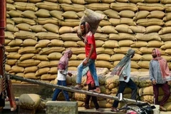 Des ouvriers transportent du riz dans un entrepôt à Jalandhar, en Inde.