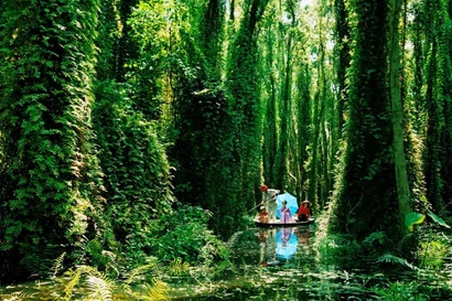 Touristes visitant la Zone touristique de Xeo Quyt, à Dông Thap. Photo: VnExpress