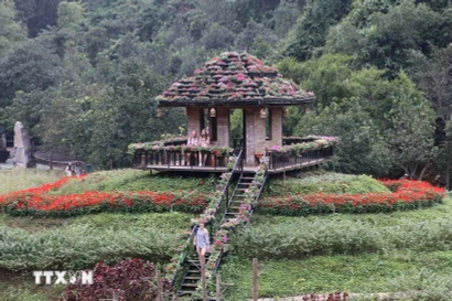 Plus de 30 variétés de fleurs différentes sont plantées dans la zone écotouristique de Thung Nham dans la province de Ninh Binh. Photo : VNA