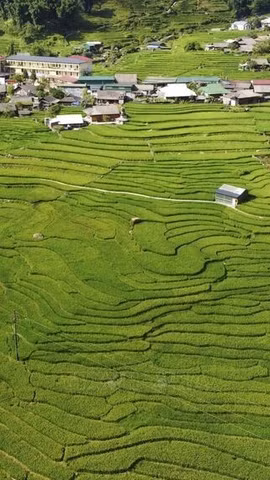 Ta Van, l’un des plus beaux villages d’Asie, mise sur un tourisme durable 