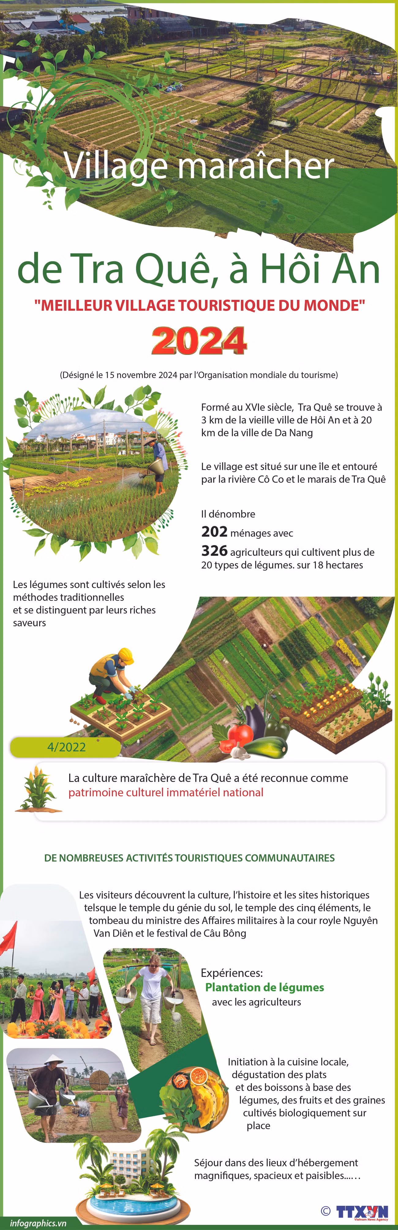2024-11-16_vn-lang-rau-tra-que_V02_H84_H84.jpg