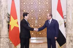 Déclaration conjointe sur l’élévation des relations au niveau de partenariat global Vietnam-Égypte