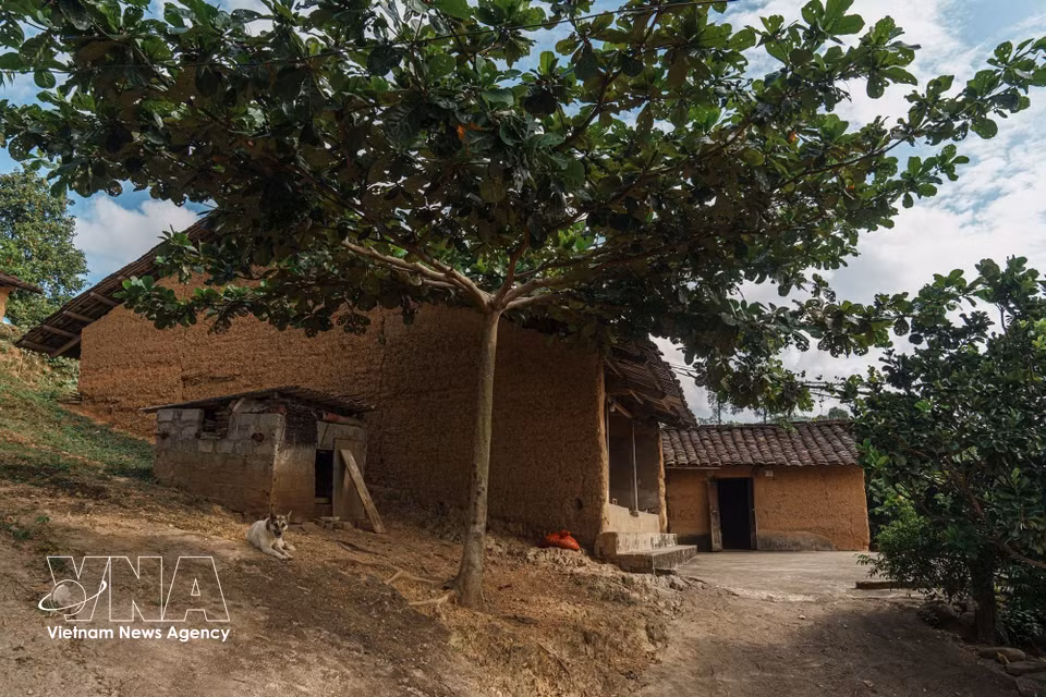 À l’ombre de grands arbres, les maisons en pisé reflètent un mode de vie proche de la nature et propice au développement du tourisme communautaire. Photo: VNA