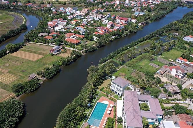 Câm Thanh se trouve au milieu d’une forêt de cocotiers d’eau bordant les canaux et les zones de marée. Photo: VNA