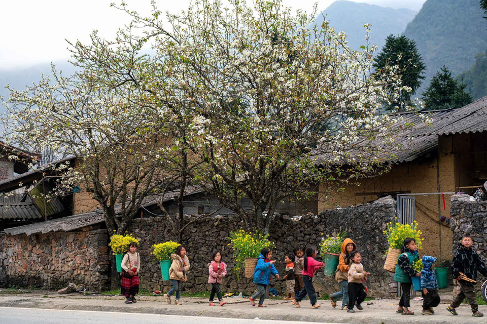 Le plateau karstique de Dông Van abrite plusieurs groupes ethniques, dont la coexistence façonne un patrimoine culturel riche et unique. Photo: VNA