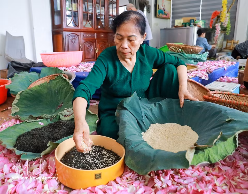 L'infusion du thé est l'étape « clé » du processus d'aromatisation au lotus. Photo : VNA