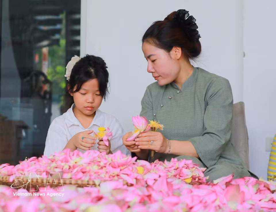 L’art de l’aromatisation du thé au lotus de Quang An est un savoir-faire traditionnel séculaire, transmis de génération en génération, dont l’ensemble du processus d’élaboration est réalisé entièrement à la main. Photo : VNA