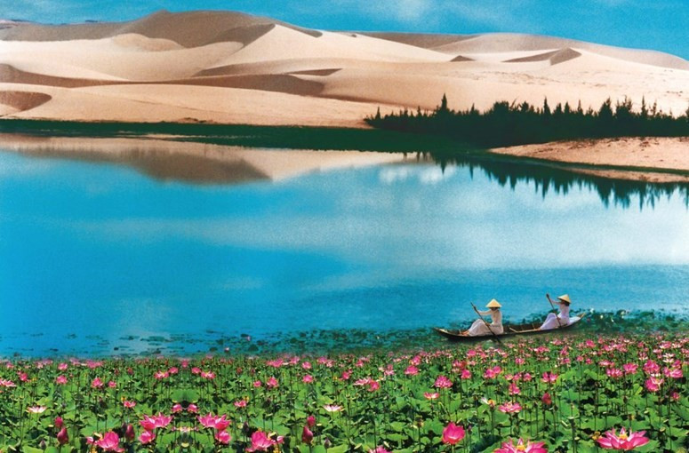 Pendant la saison de floraison des lotus, les visiteurs peuvent faire une promenade en bateau sur le lac, en profitant du parfum enivrant des fleurs. Photo : VNA