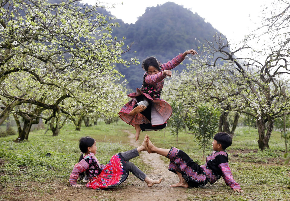 Des enfants de l’ethnie H’mong s’amusent ensemble sous les pruniers en pleine floraison, éclatants de blancheur. Photo: Vietnam Illustré