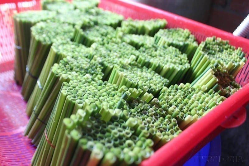 Des pailles végétales respectueuses de l'environnement sont utilisées par de nombreux établissements de restauration et de boissons à Hô Chi Minh-Ville pour remplacer des pailles en plastique. Photo : VNA
