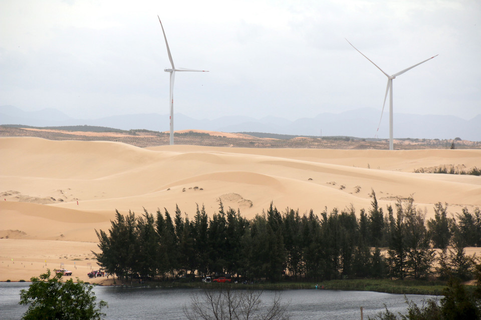 Bàu Trắng est un immense lac d'eau douce entouré de dunes. Souvent comparé à une version miniature du désert du Sahara, Bàu Trắng est caractérisé par de vastes étendues de dunes imposantes, avec une végétation clairsemée. Photo : VNA