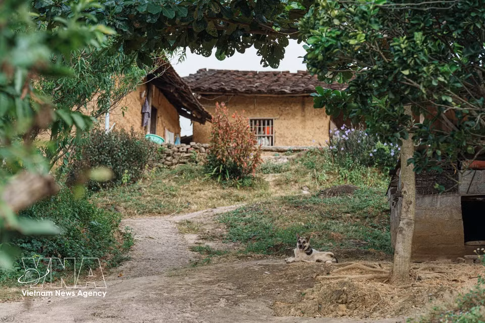 Les jardins, les allées en terre et la végétation créent un paysage propice au développement du tourisme expérientiel. Photo: VNA