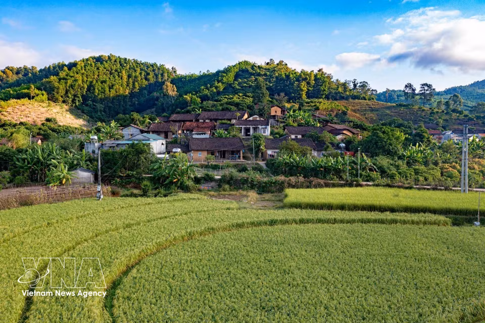 S’étendant au pied des montagnes, les rizières constituent un atout écologique important, propice au développement du tourisme expérientiel. Photo: VNA