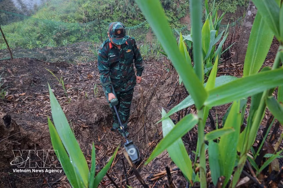Les membres de l’équipe s’appuient sur des détecteurs pour localiser et neutraliser les mines, munitions et autres engins explosifs encore enfouis dans la zone de recherche et de rapatriement des restes des soldats tombés pour la Patrie. Photo : VNA