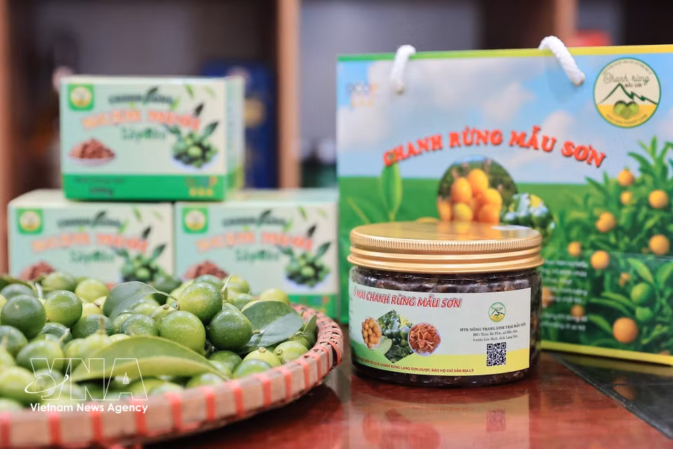 Le produit « Citron sauvage confit de Mâu Son » (Ô mai chanh rừng Mẫu Sơn) de la Coopérative de la Ferme écologique de Mâu Son a obtenu la certification OCOP 3 étoiles. Photo : Lê Đông – VNA