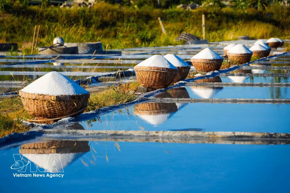 Après la récolte, les paniers de sel sont alignés en longues rangées. Photo: VNA