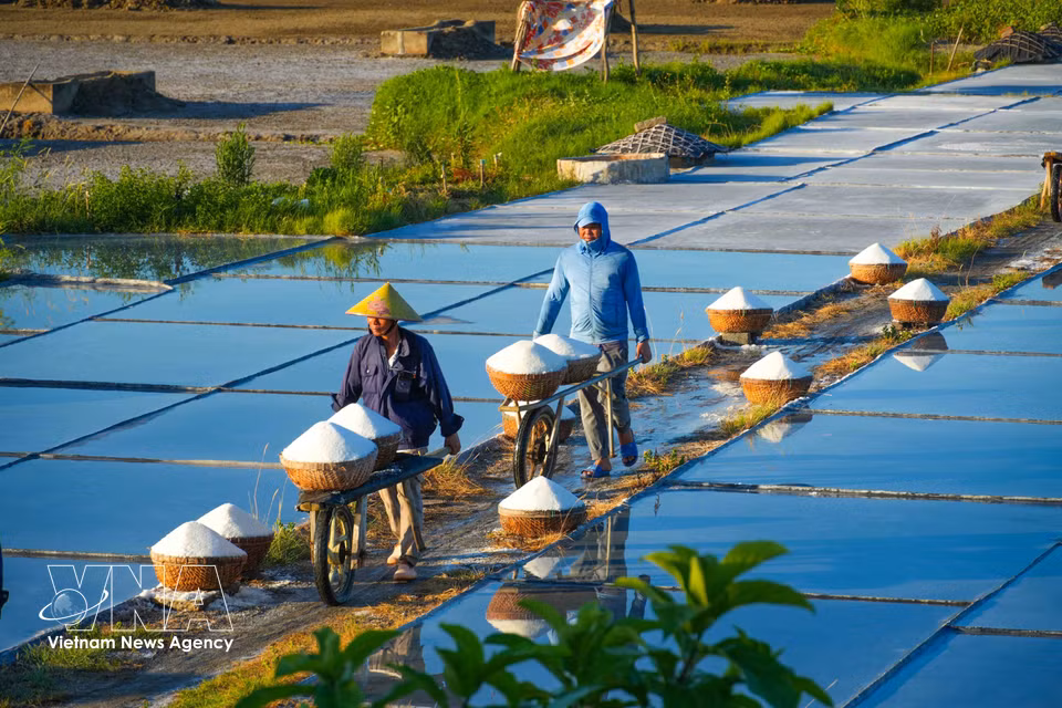 Les habitants acheminent le sel du site de production jusqu’à leur domicile. Photo: VNA