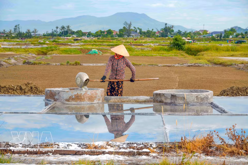 Les habitants acheminent l’eau salée vers les bassins de filtration. Photo: VNA