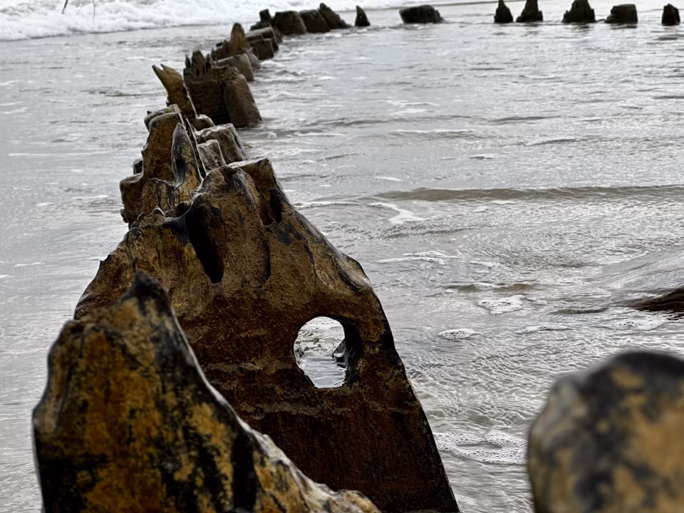 Les effets de la nature ont érodé les structures en bois du navire. Photo: VNA