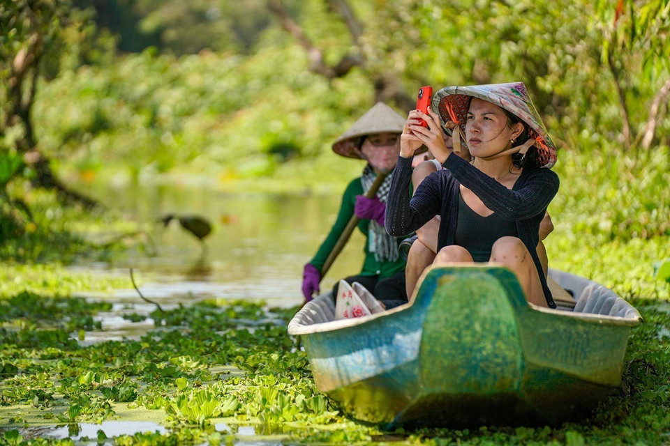 La forêt de cajeputiers de Tra Su séduit les visiteurs par son paysage poétique et sa riche biodiversité. Photo: VNA