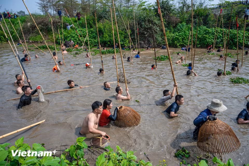 Les participants se tiennent en ligne dans la rivière, frappant l’eau à l’aide de leurs perches. Les poissons piégés dans la zone agitée sont capturés à la main ou à l’aide de filets, parfois au prix d’efforts intenses. Photo: VietnamPlus