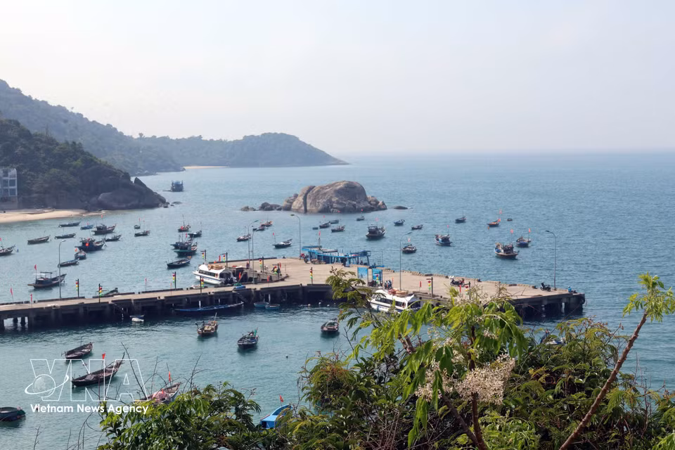 Flotte de pêche amarrée près du littoral. Photo: VNA
