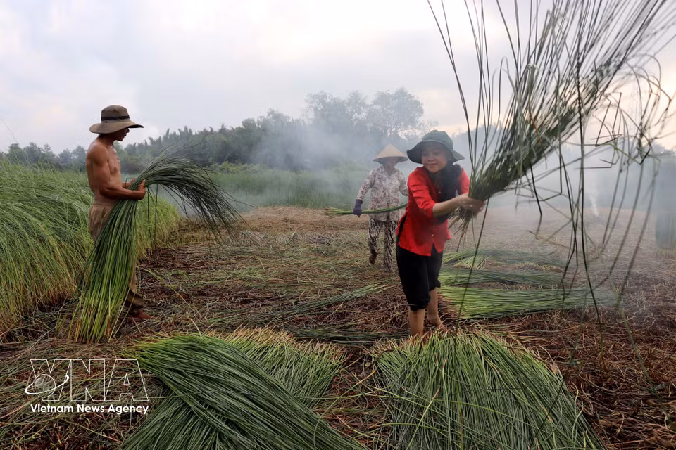 Mme Nguyen Vu Cam Ngan, habitante de la commune de Hau Nghia, découvre une activité artisanale traditionnelle. Photo : VNA