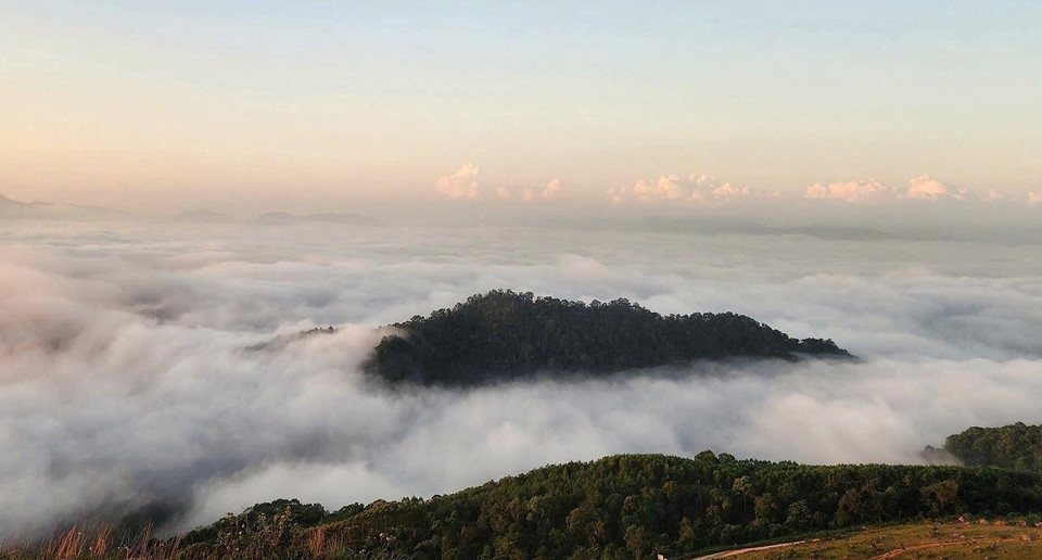 Mer de nuages au plateau de Dông Cao. Photo : VNA