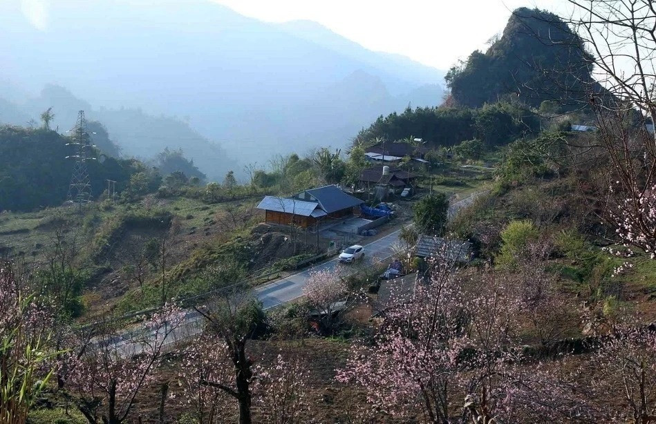 Les villages et les montagnes dans le Nord-Ouest parent de fleurs de pêcher. Les bourgeons éclosent sur les branches, annonçant un nouveau printemps. Photo : VNA