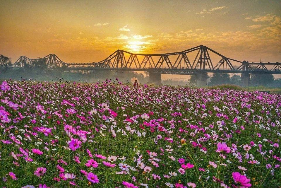 La beauté du pont Long Bien - un symbole culturel et historique de Hanoï. Photo : VNA