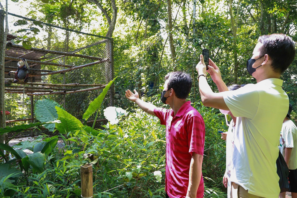 Le centre est ouvert aux visiteurs accompagnés de guides, ce qui permet de sensibiliser le public et la communauté à l'importance des primates et à la conservation de la nature. Photo : VNA