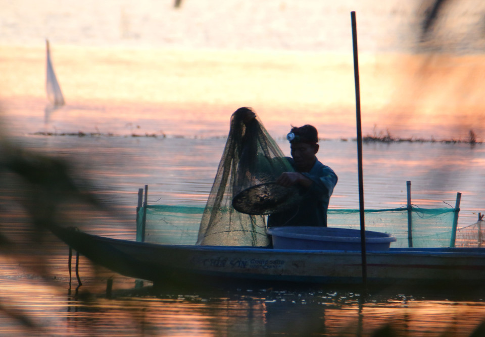 Pose de nasses dans les champs inondés de la commune de Vinh Vien, ville de Can Tho.