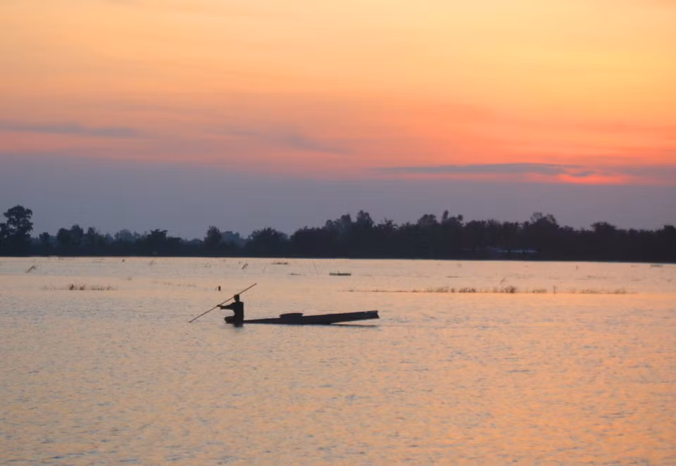 Dans les champs inondés de la commune de Xa Phien (ville de Can Tho), la saison des crues 2025 offre un spectacle de renaissance : l’eau abondante a transformé les rizières en véritables viviers naturels où grouillent poissons et crevettes.
