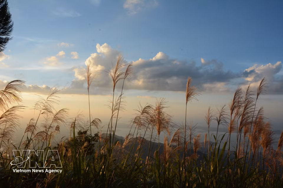 Depuis le belvédère, les chaînes montagneuses et les forêts offrent un panorama spectaculaire. Photo : VNA