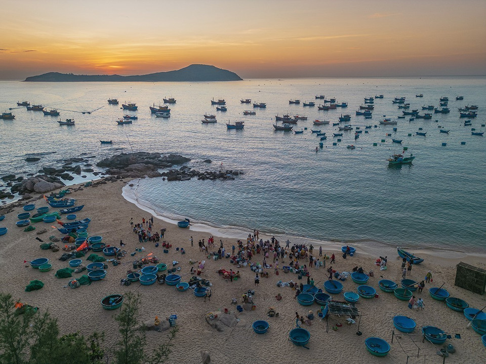 Le rivage devient, à l’aube, un lieu de rencontre entre pêcheurs et acheteurs. Photo: VNA