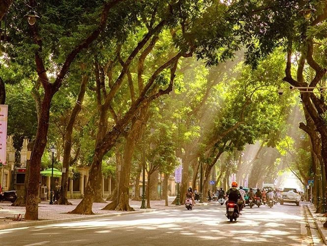 Chaque saison confère à Hanoï un charme particulier, mais l’automne, avec sa lumière dorée et sa douceur tempérée, reste sans doute la plus envoûtante. Photo: VNA