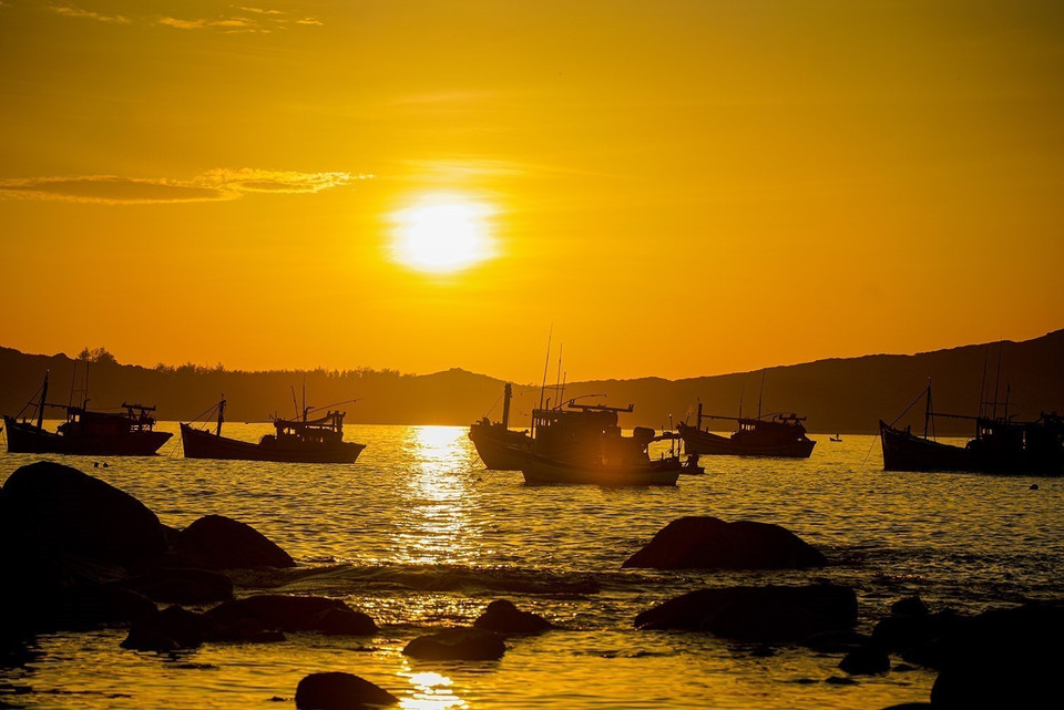 Chaque matin, de nombreux bateaux de pêche, grands et petits, affluent vers le marché de Phuoc Dông avec des produits fraîchement pêchés. Photo: VNA