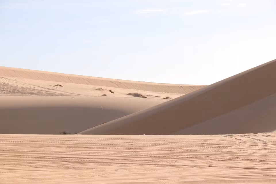 Une danse infinie entre le vent et le sable, façonnant chaque jour un nouveau visage au "Sahara" vietnamien".