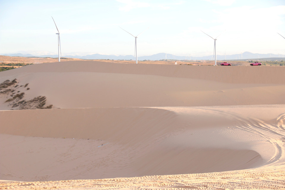 Murmures du vent sur les crêtes de Bàu Trang : une œuvre d'art naturelle en perpétuelle métamorphose.