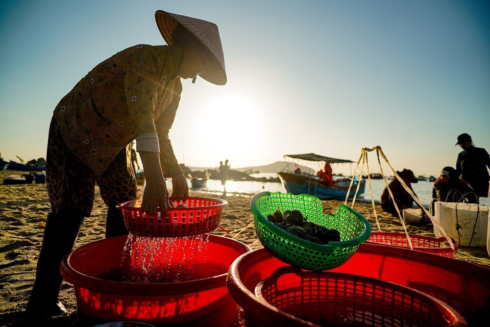 Une atmosphère simple et authentique se dégage des scènes de travail familières des pêcheurs locaux. Photo: VNA