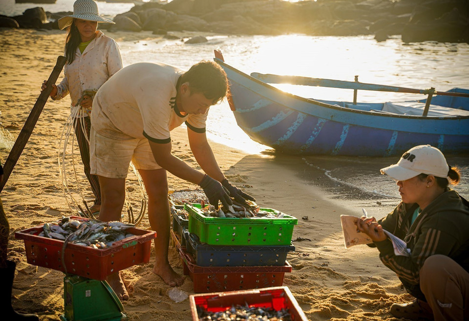 Les produits de la mer sont achetés directement après leur débarquement. Photo : VNA