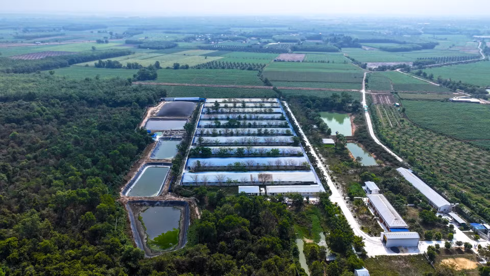 Le processus de traitement des déchets dans les fermes d’élevage à haute technologie de Tây Ninh est conçu de manière méthodique et scientifique. Photo : VNA